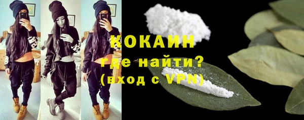 стаф Горняк
