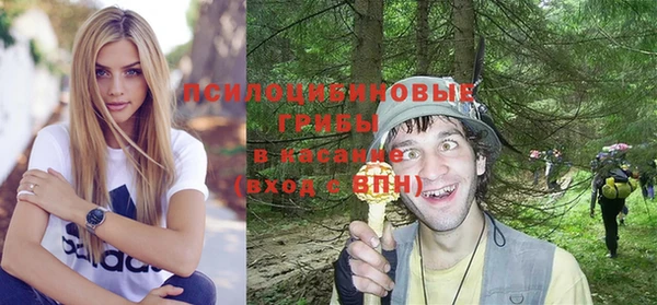 соль курить ск Гусиноозёрск
