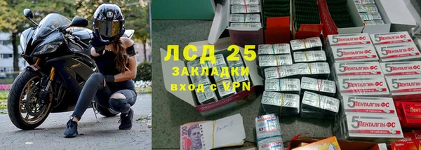стаф Горняк