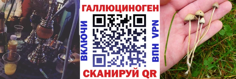 Галлюциногенные грибы Cubensis  Москва 